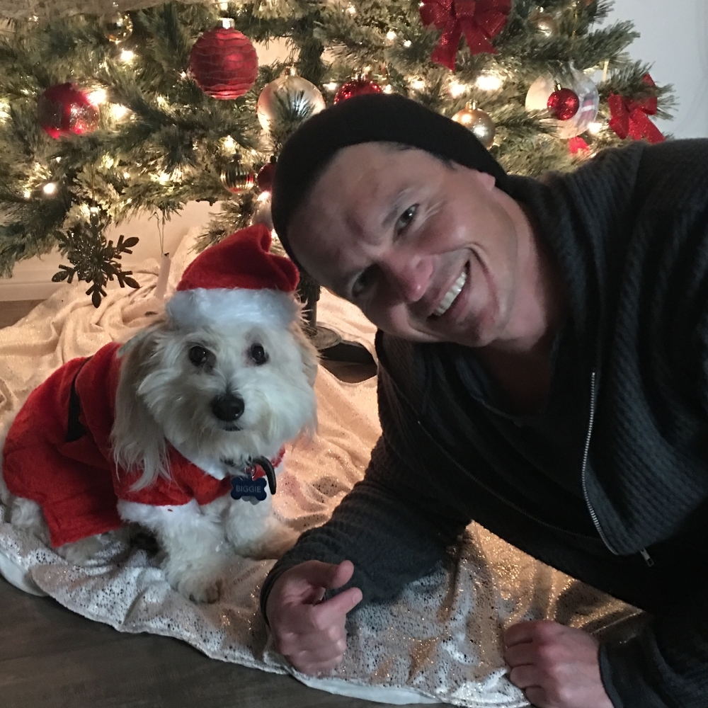 Meet your Posher, Dino